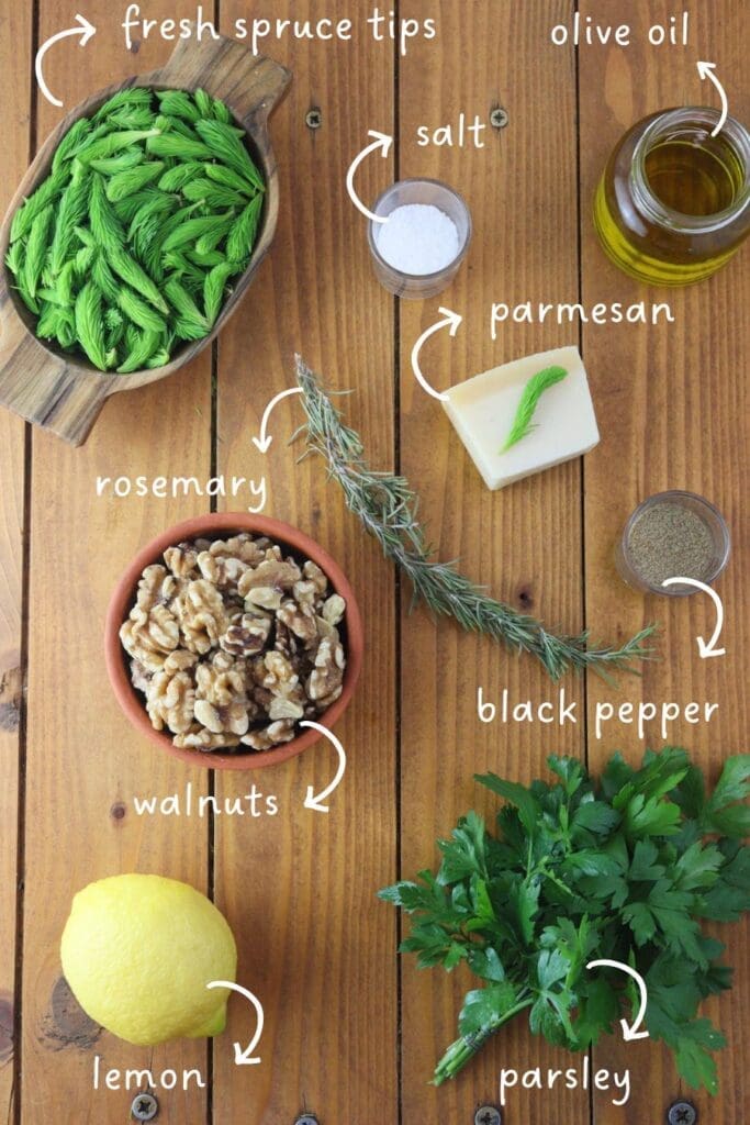 Image of ingredients needed for spruce tip pesto.